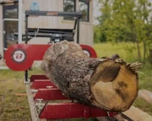 Blockbandsäge BS31 Pro - Benzinmotor