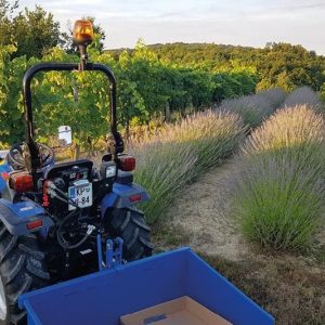 Solis Kompakttraktor 26 Grundmaschine ohne Bereifung
